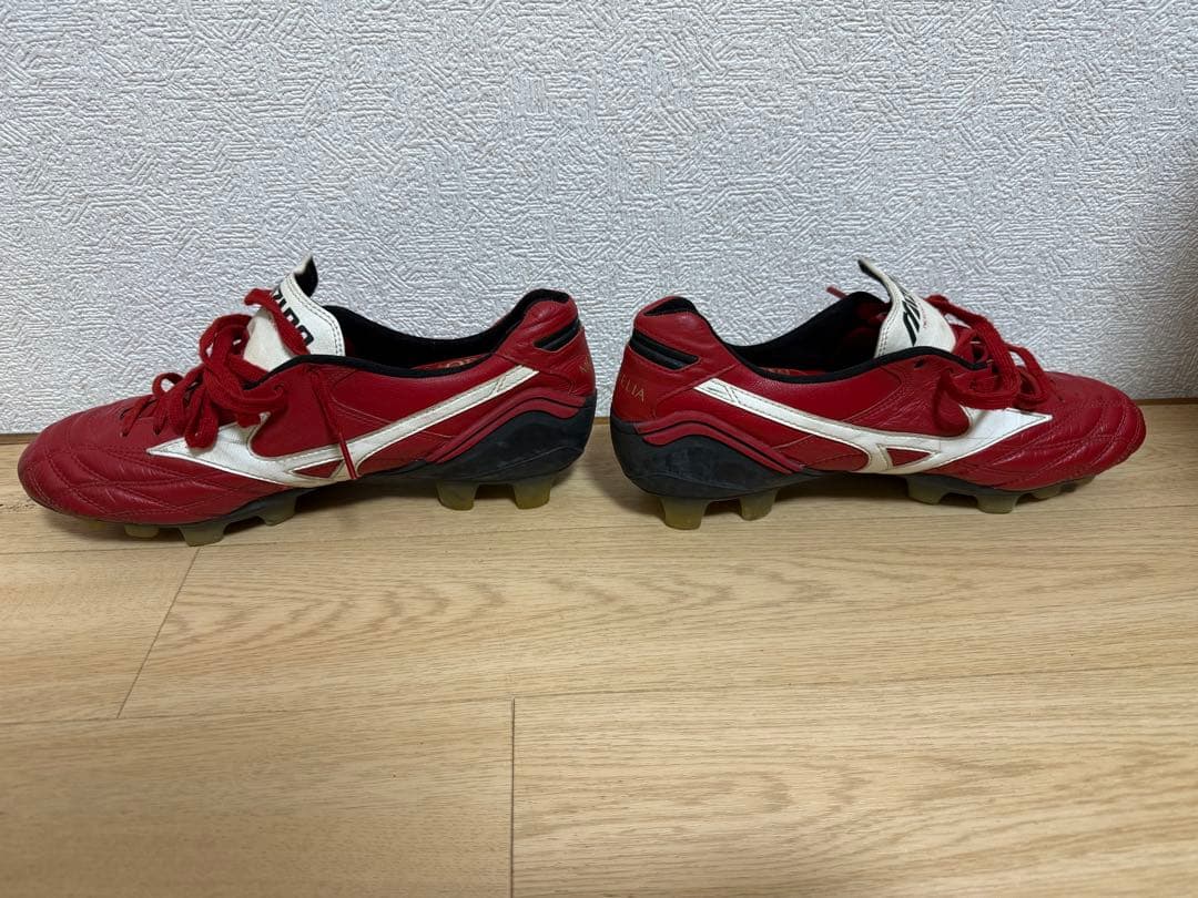 モレリアウェーブ