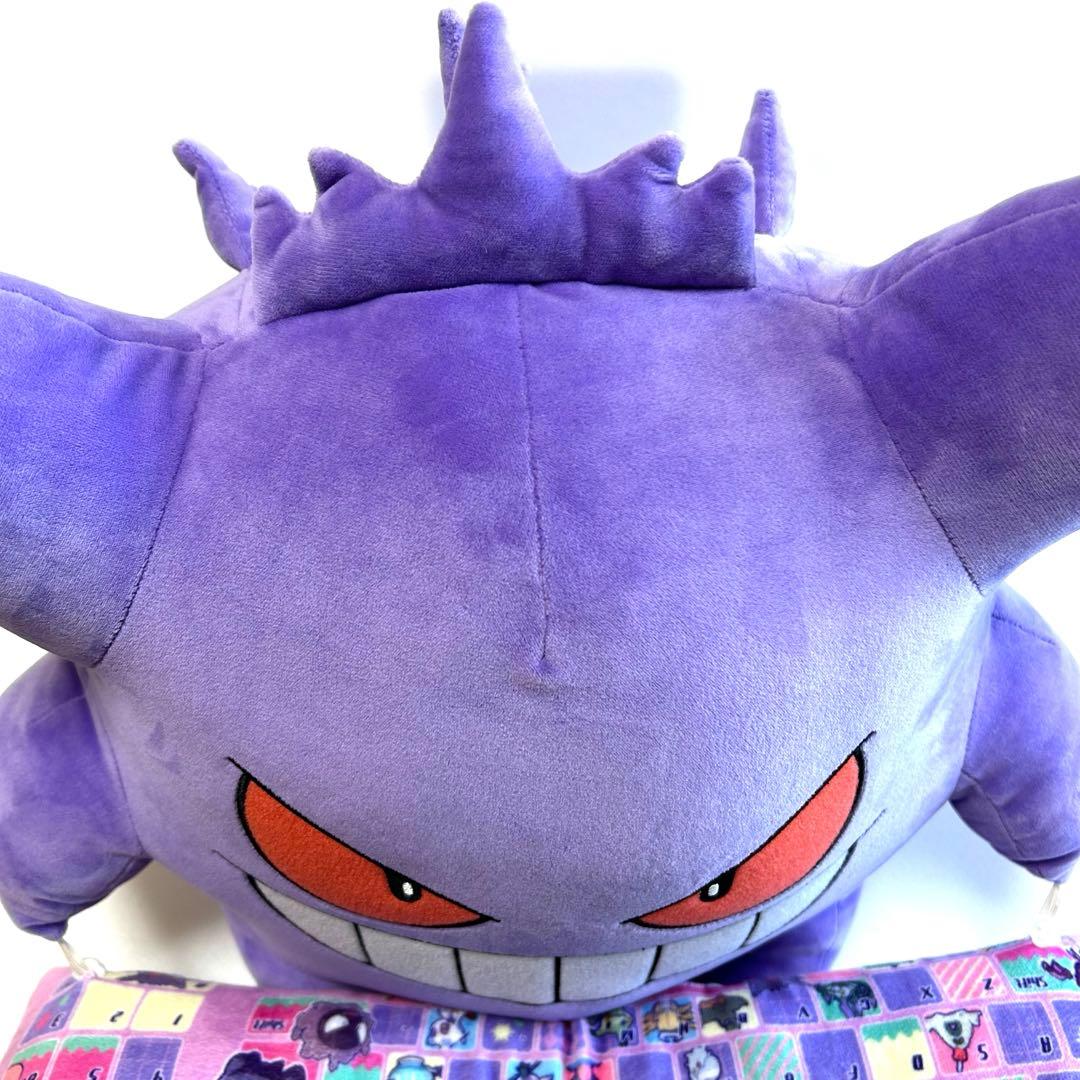 【ルーキー】