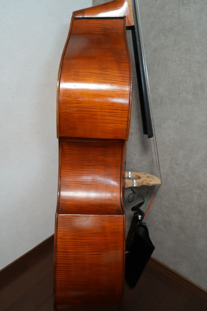オール単板 GLIGA Gems Ⅰ Gamba Shape Flat Back
