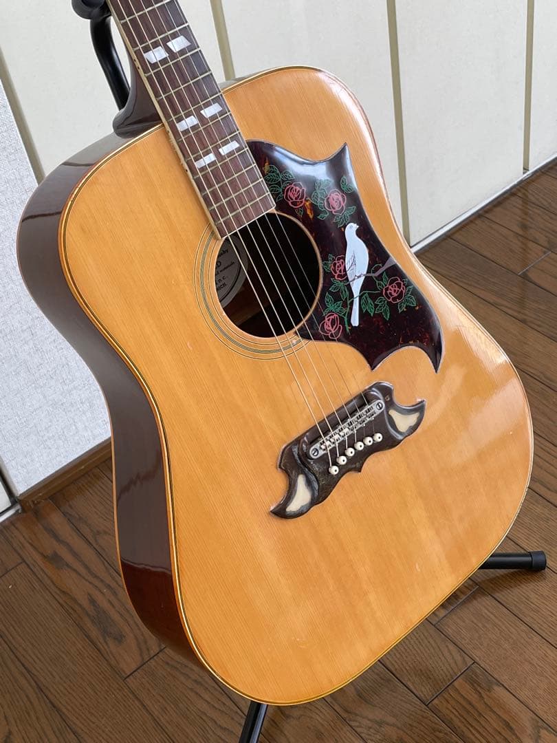 エレアコ仕様 　なにかと話題のTomson DOVEモデル(多分)