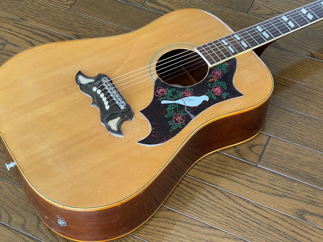 エレアコ仕様 　なにかと話題のTomson DOVEモデル(多分)