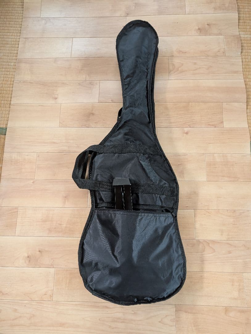 (初心者向け)SELDER エレキギター ブラック スタンド付き