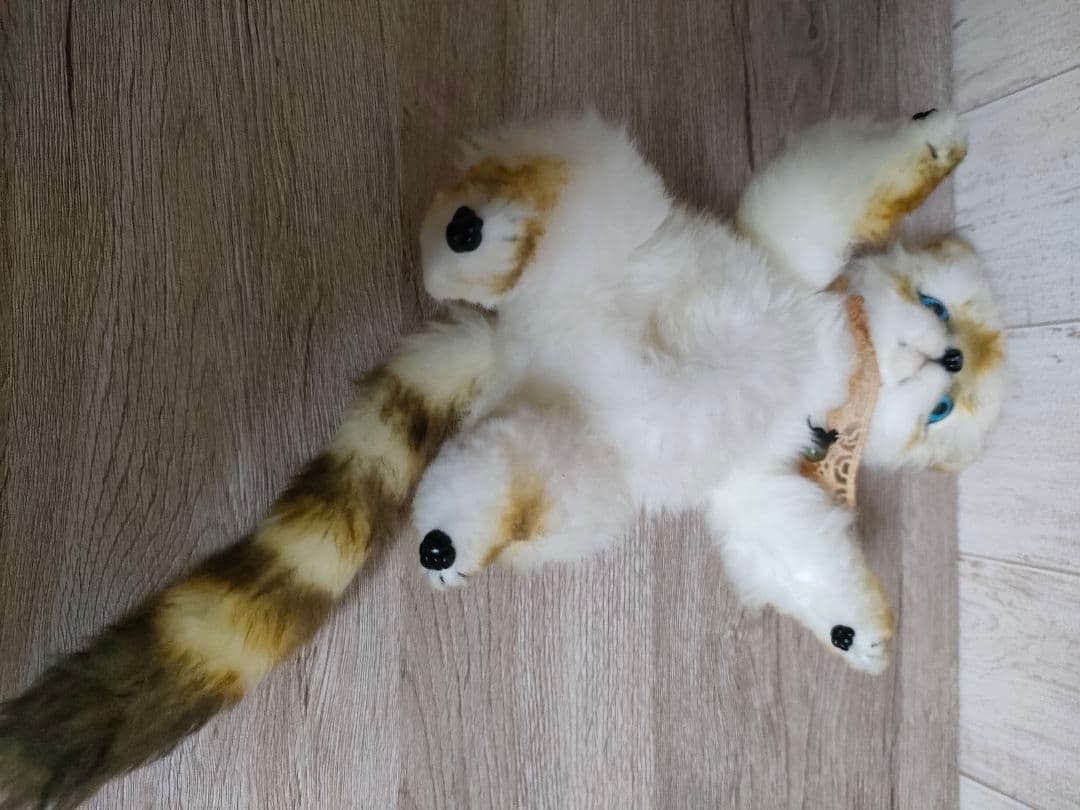 アーティストぬいぐるみ　作家ぬいぐるみ　 猫