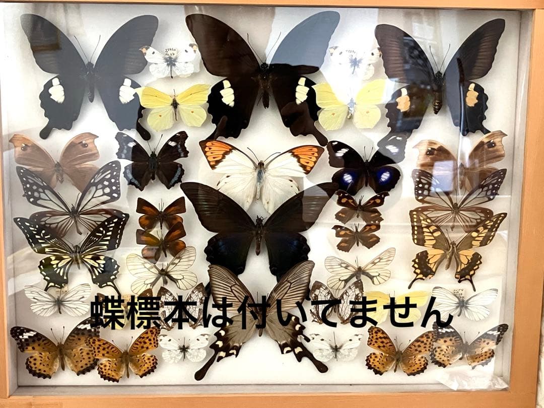 捕虫網２本
