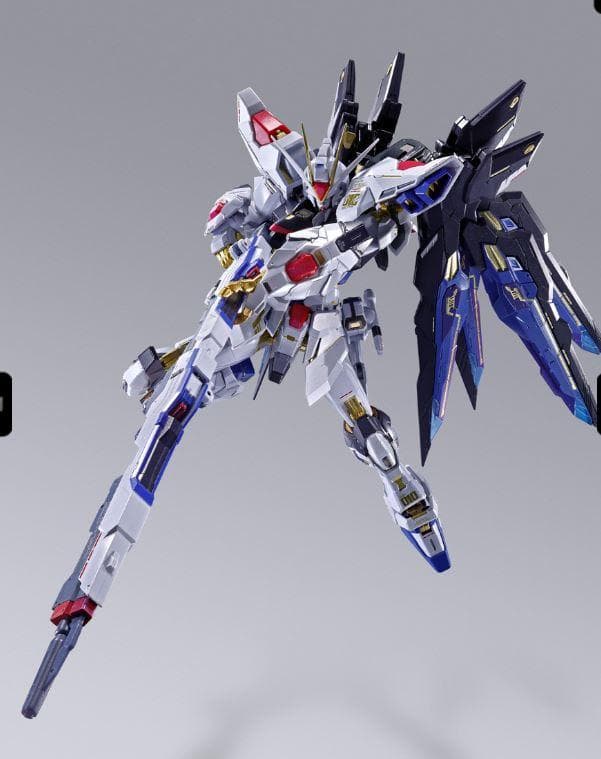 【新品】ストライクフリーダムガンダム&デスティニーガンダムL BUILD
