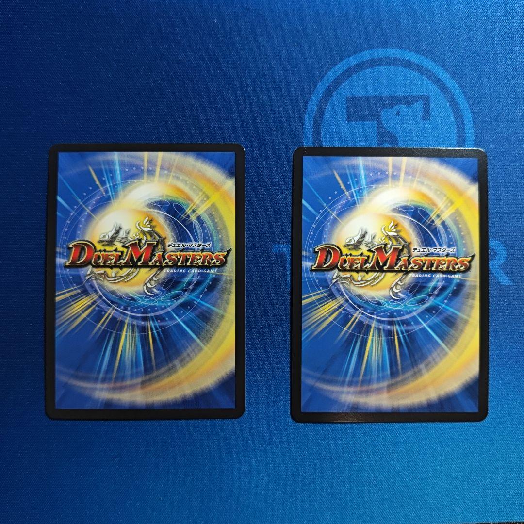 レイクポーチャー　金