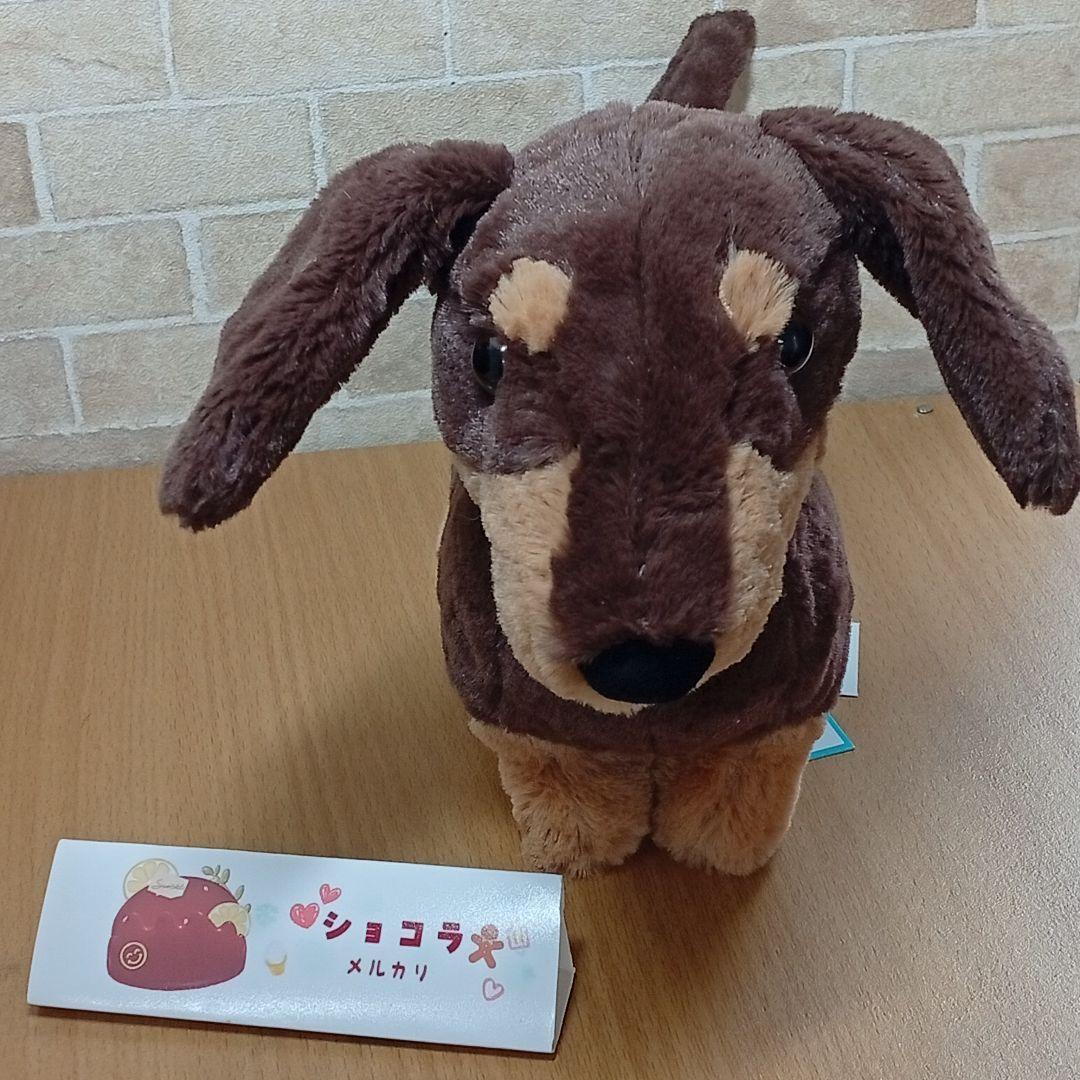  otto Sausage Dog　ジェリーキャット　犬　いぬM