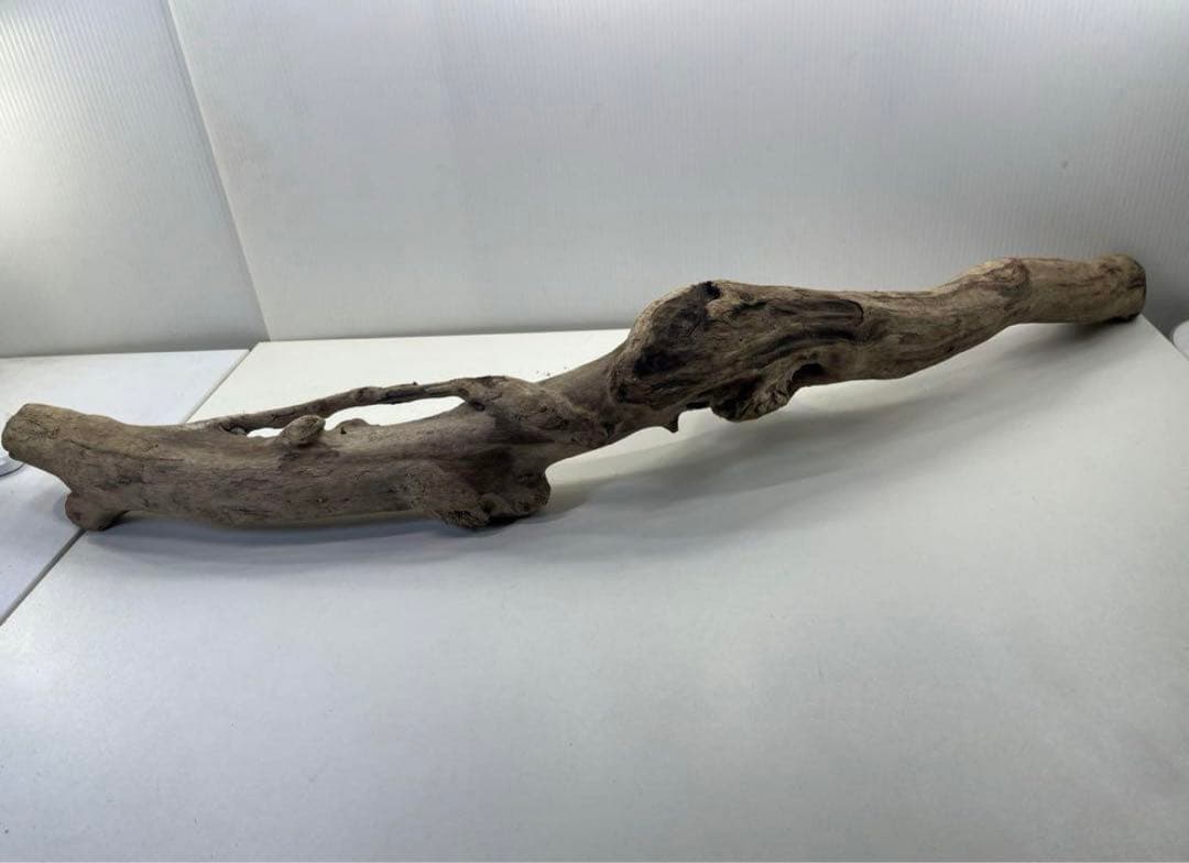 専用品 大型流木 アク抜き済み