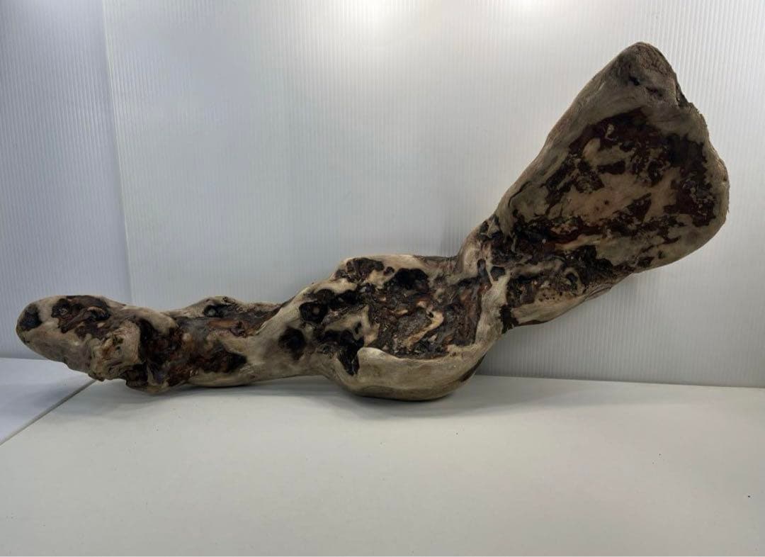 専用品 大型流木 アク抜き済み