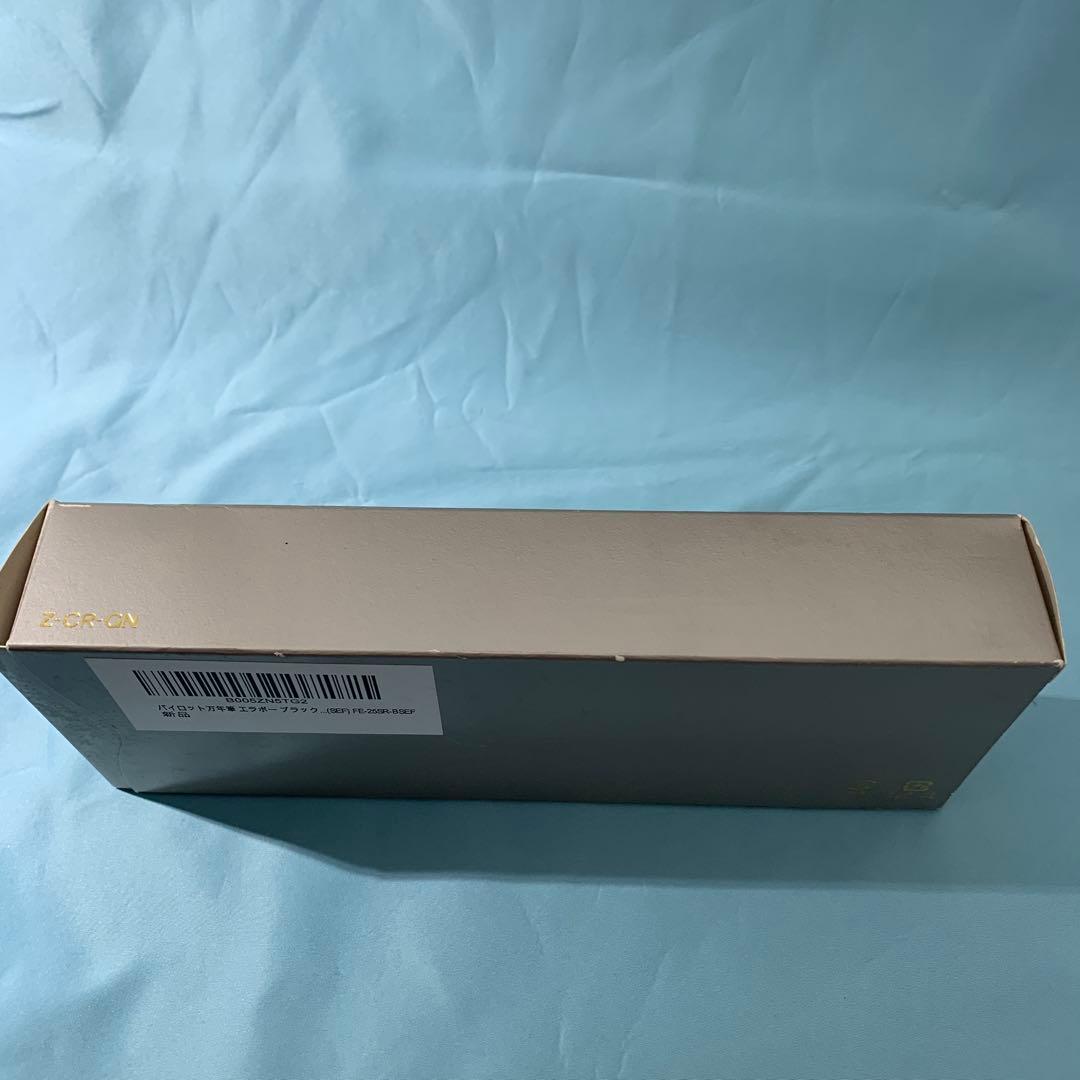 PILOT 万年筆 エラボー 極細字軟SEF FE-25SR-BSEF