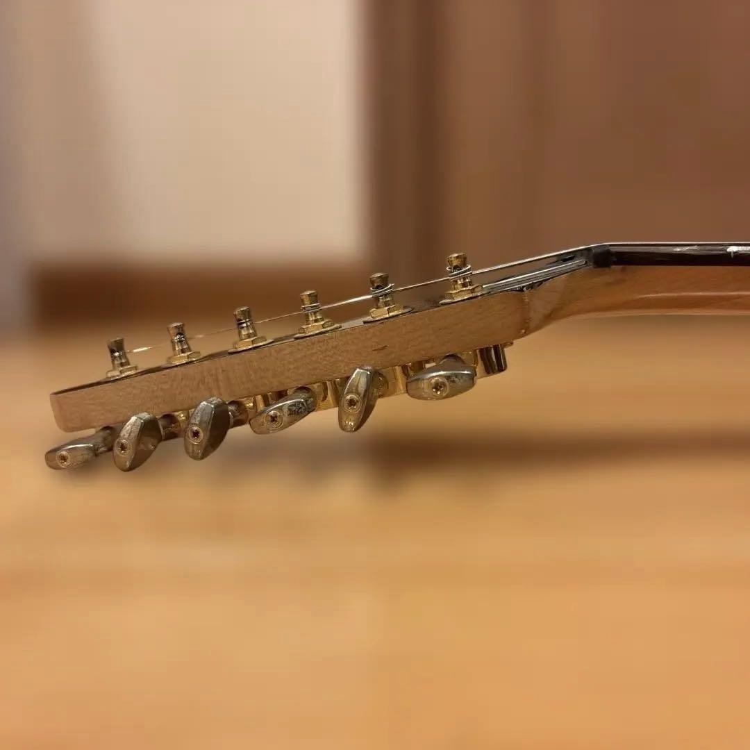 FERNANDES FGZ-420 ゴールドパーツ仕様 トレモロアーム付