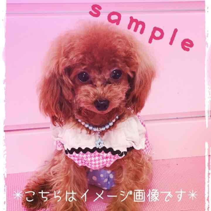 売り切れ。ドッグアクセサリー♡ネックレス 首輪