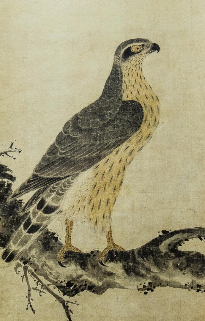 掛軸-1011　土岐頼芸　鷹図　印刷工芸作品　土岐の鷹　国盗り物語