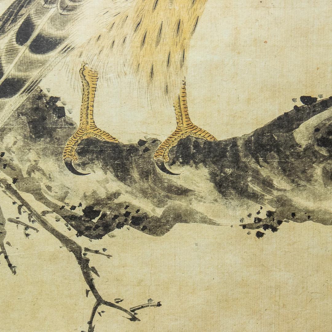 掛軸-1011　土岐頼芸　鷹図　印刷工芸作品　土岐の鷹　国盗り物語