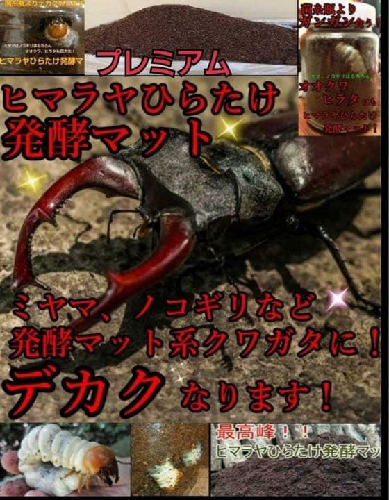 ミヤマクワガタ、ノコギリ幼虫に抜群！800mlボトル入プレミアム発酵マット40本