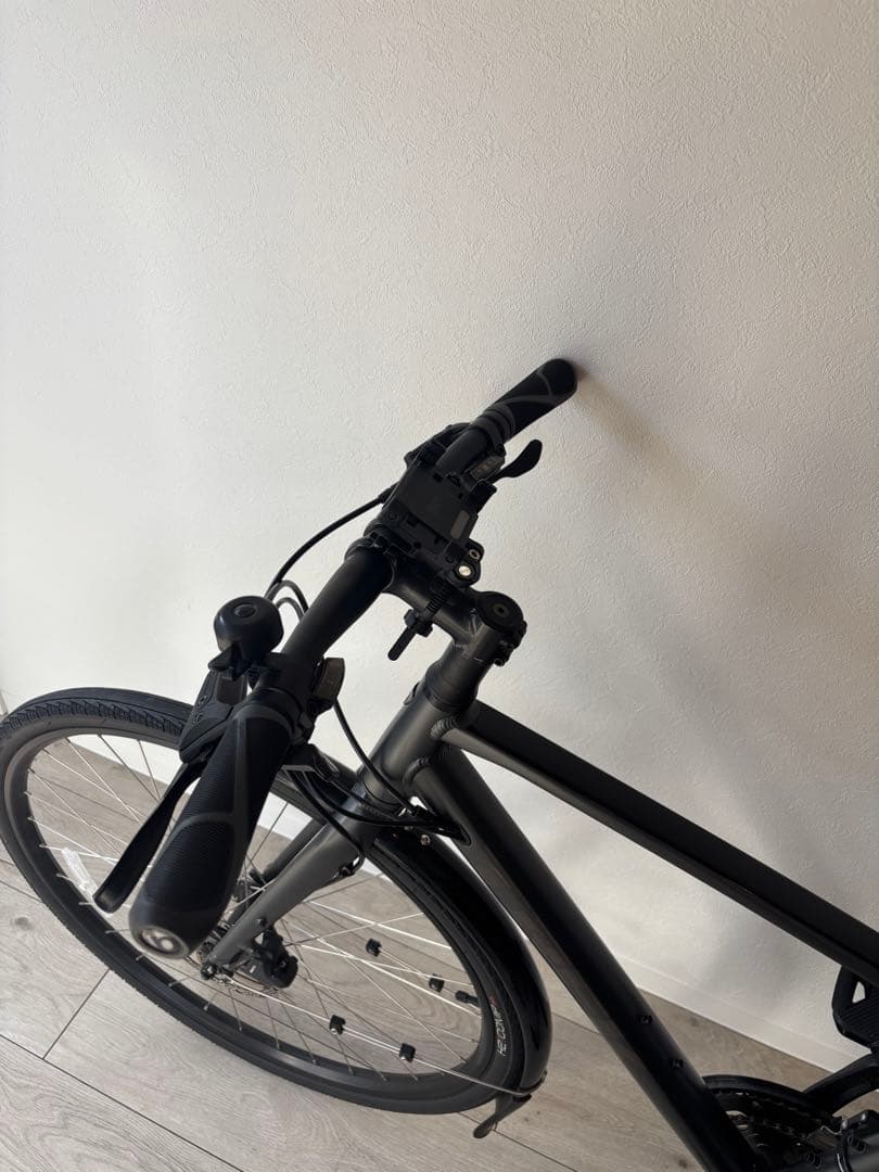 TREK FX2 油圧DISC 2023年モデル　【美品】