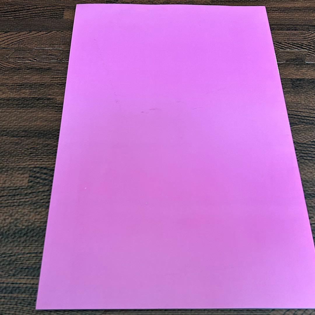 BUCK-TICK ツアーパンフレット 2冊セット