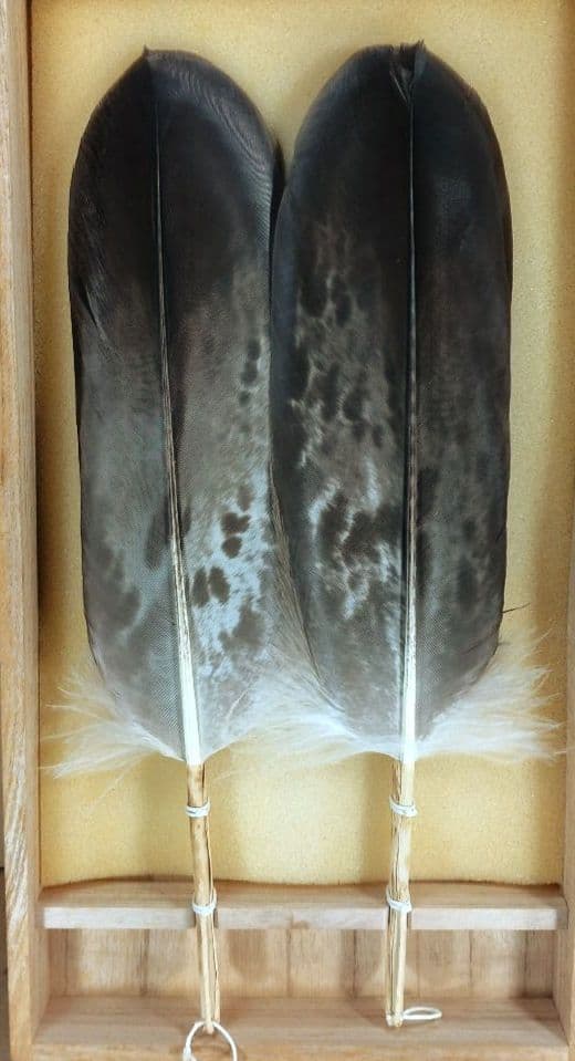 飛来一閑 磯鷲羽箒一双≪裏千家十五代 鵬雲斎 書付≫共箱 出荷当初からの外紙箱