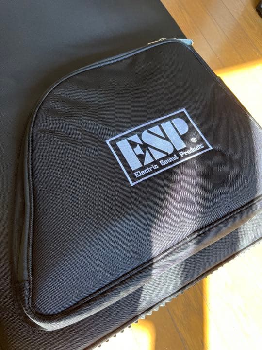 ESP GB-30V セミハードケース