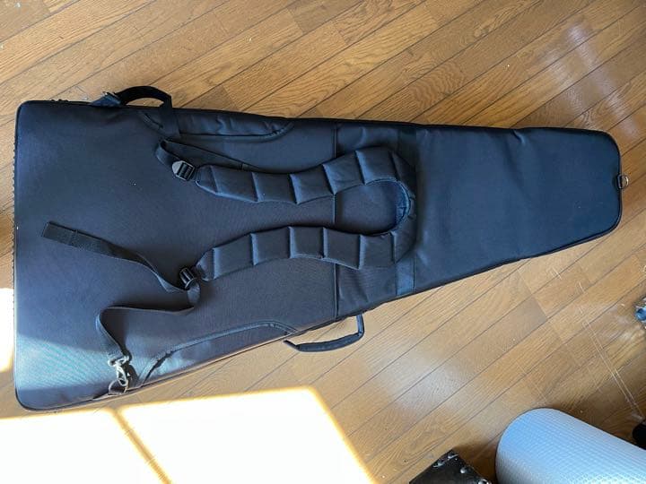 ESP GB-30V セミハードケース