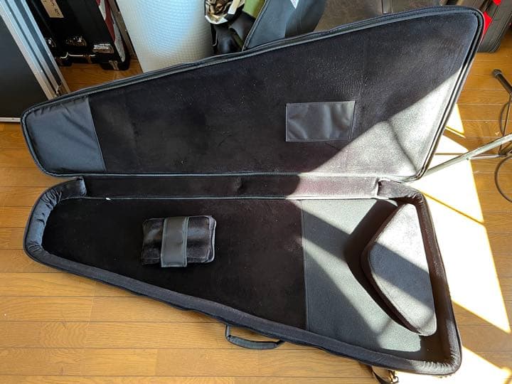 ESP GB-30V セミハードケース