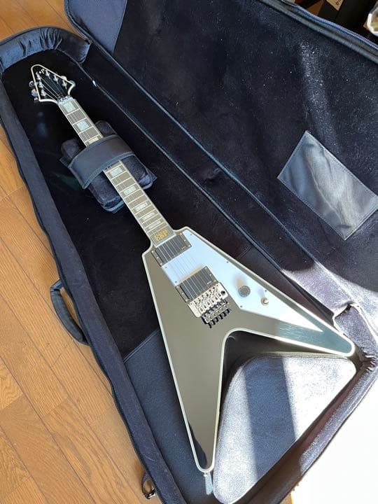 ESP GB-30V セミハードケース