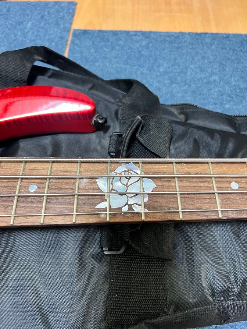 ESP BTL ROSELIA LISA 初期モデル　ベース　2018年購入