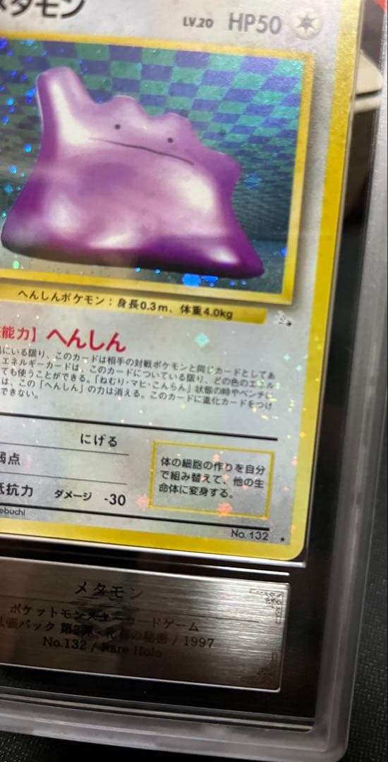 全面ホロ