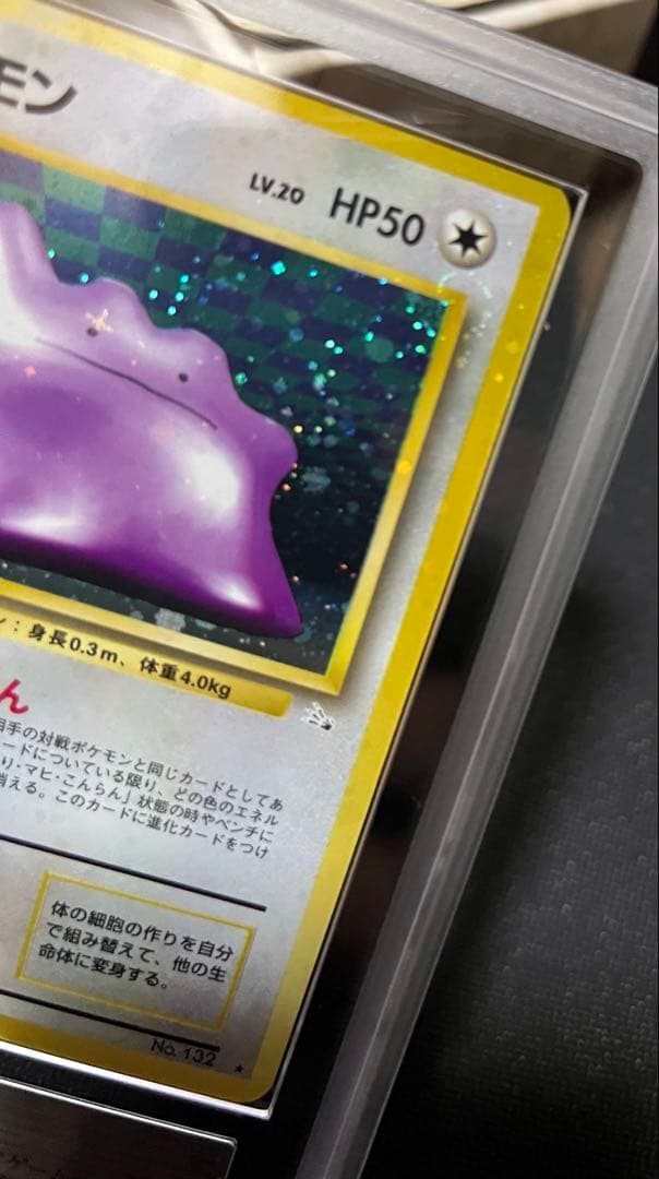 全面ホロ