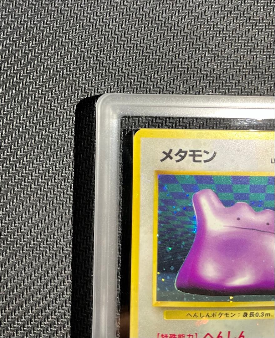 全面ホロ