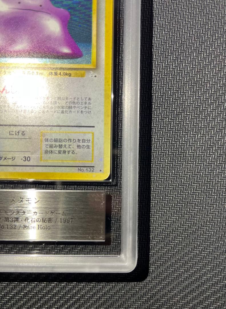 全面ホロ