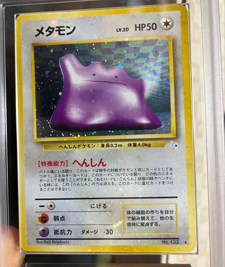 全面ホロ