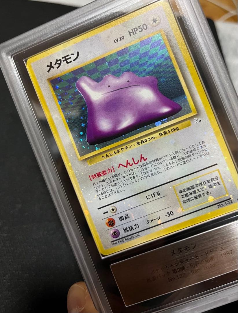 全面ホロ