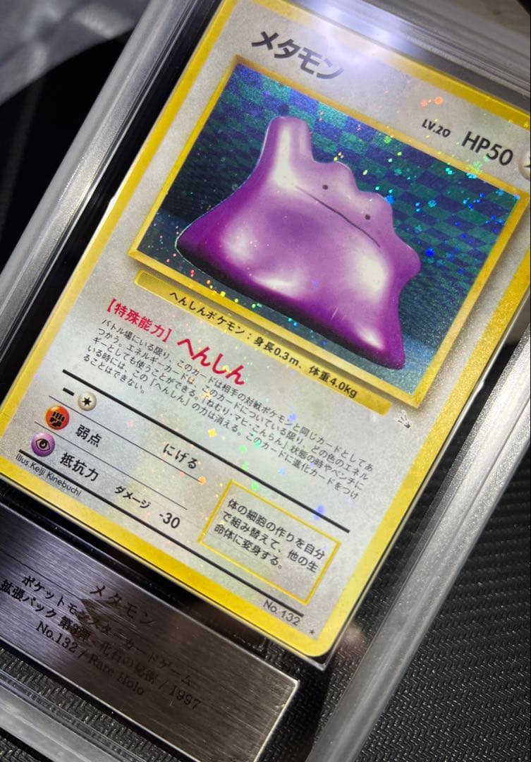 全面ホロ
