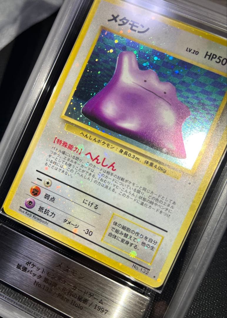 全面ホロ