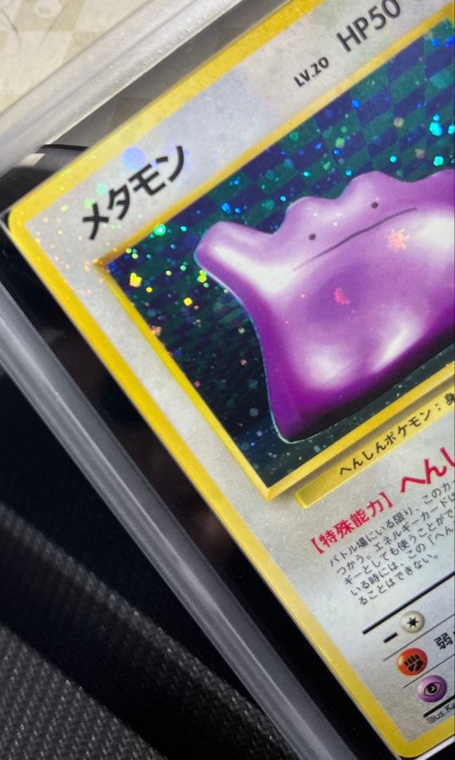 全面ホロ