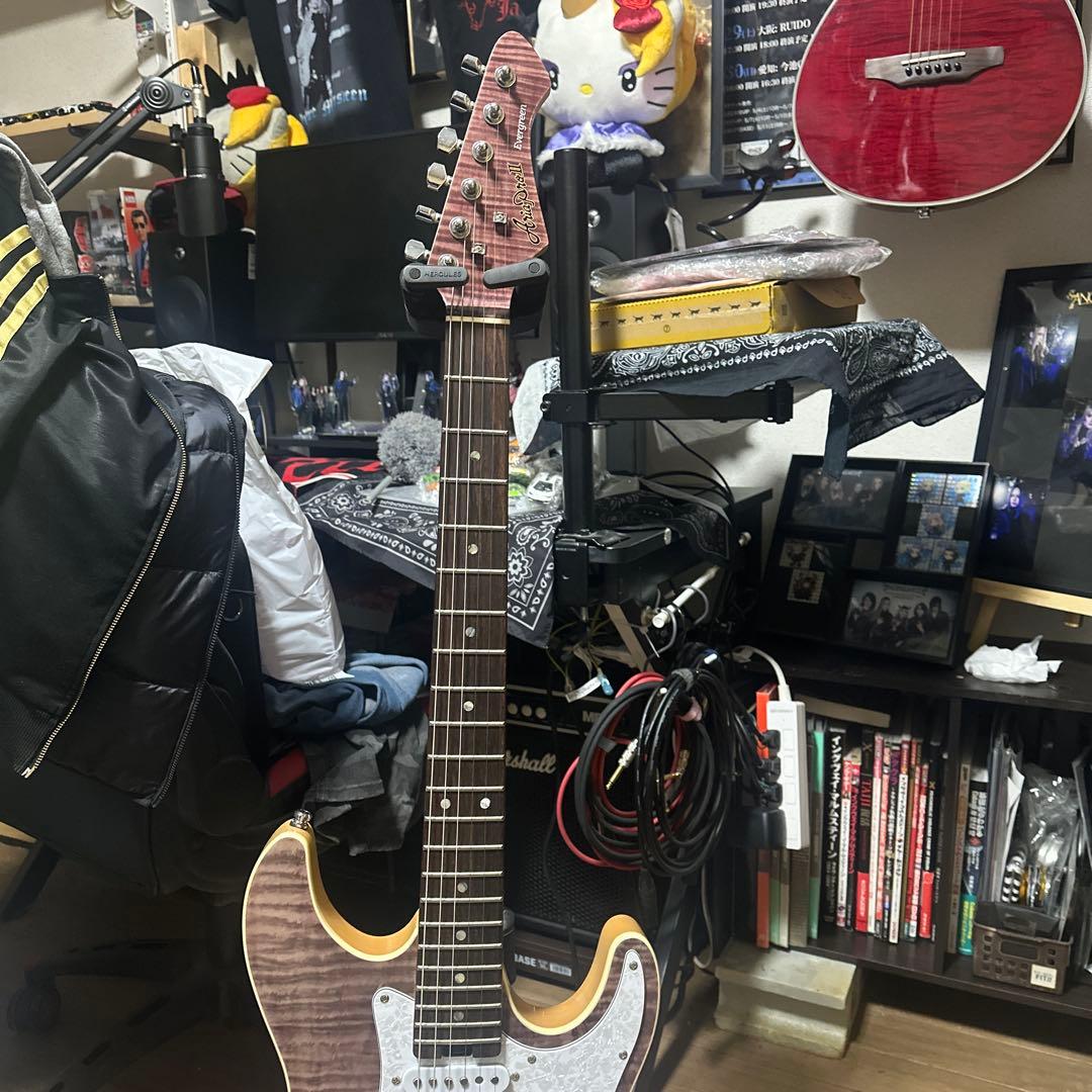 ギター ARIA Pro IIEvergreen 714-AE200