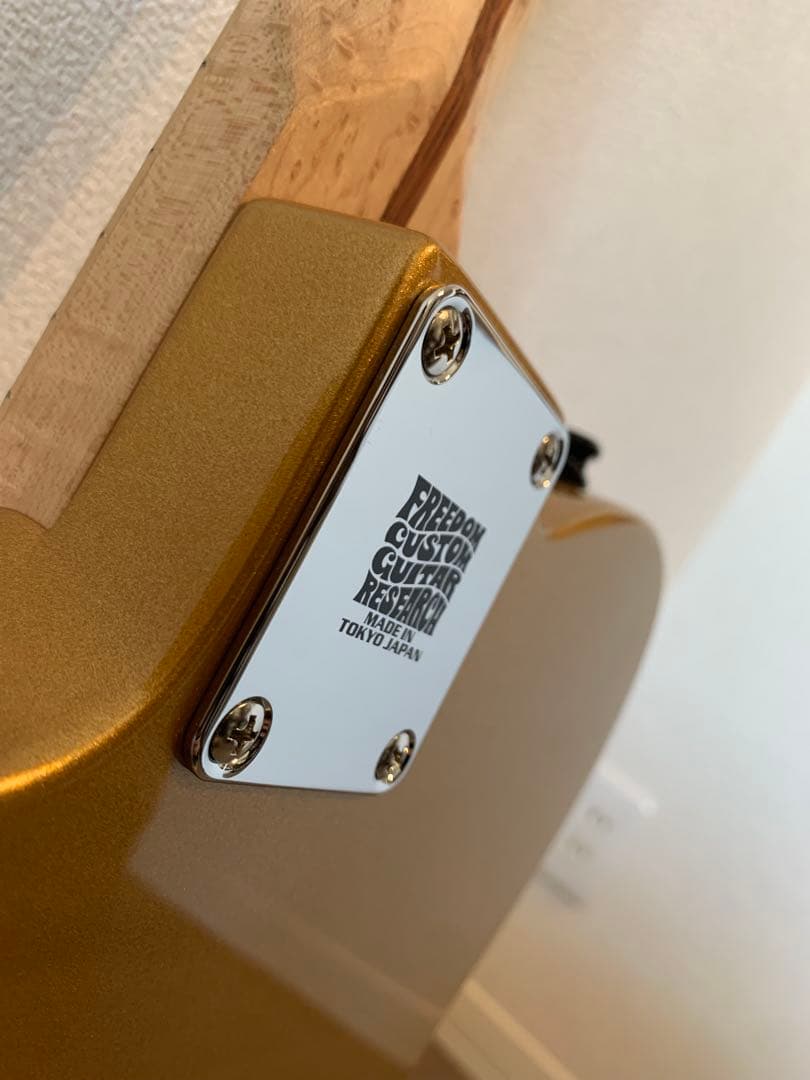 【中古美品】テレキャスターシンラインMod【22F/テキスペPU搭載】