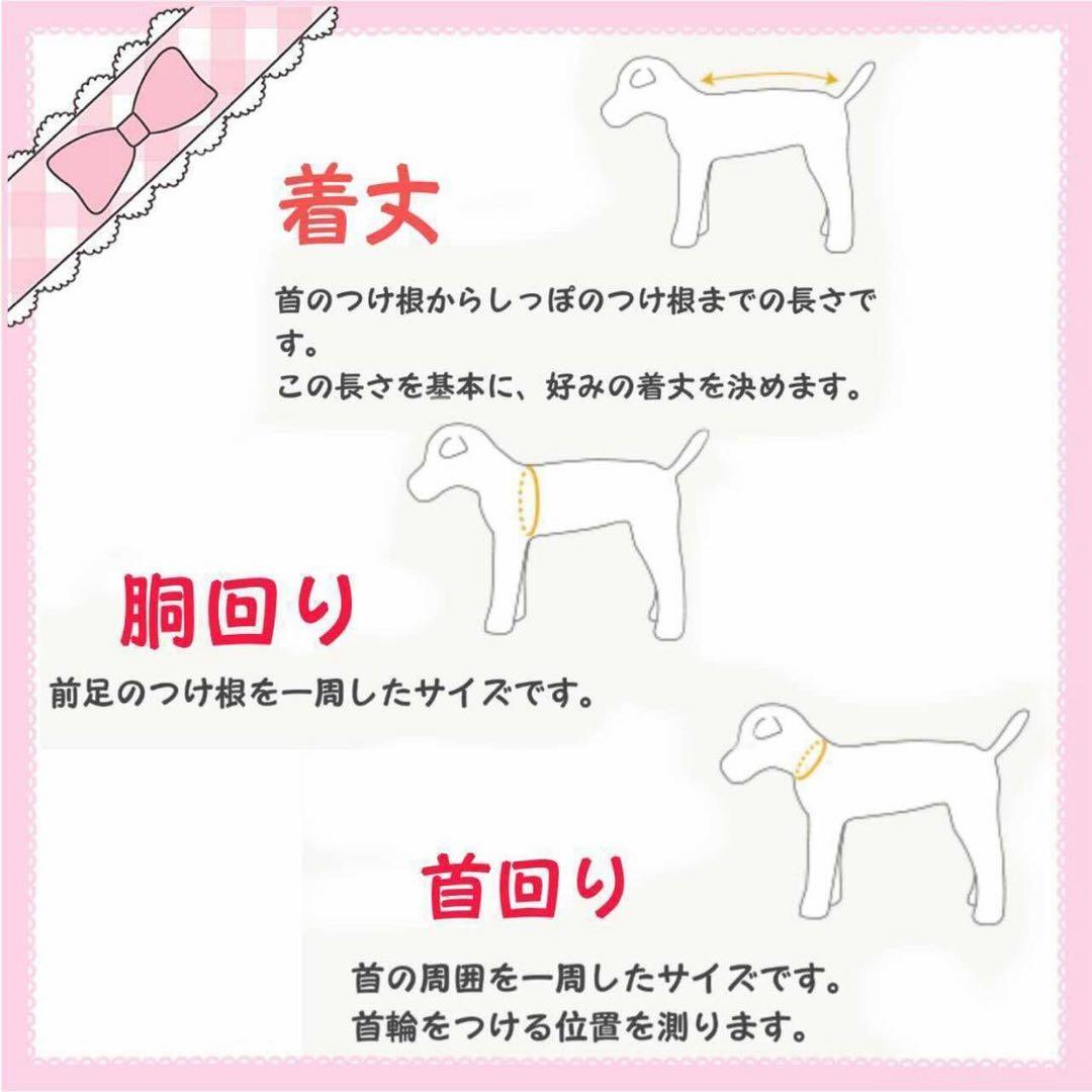 犬服.ラグランTシャツサイズ表確認用