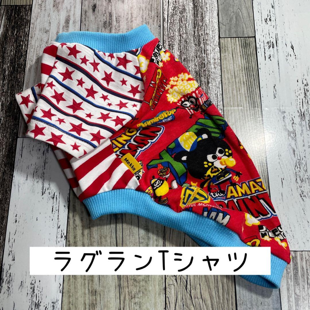 犬服.ラグランTシャツサイズ表確認用