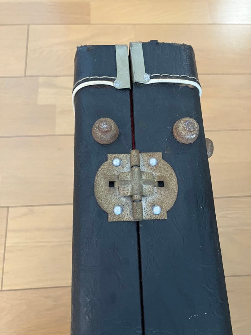 Guyatone Sharp Five(シャープ・ファイブ)+ハードケース付