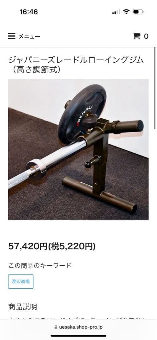 ジャパニーズレードルローイングジム