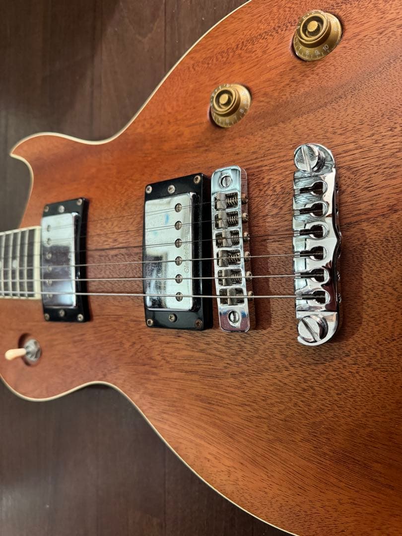 Aria Pro II PE-350 マホガニー ソフトケース付