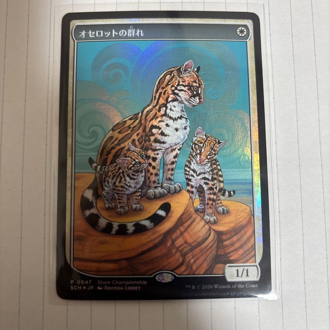 MTG オセロットの群れ　ストアチャンピオンシップ　プロモ Foil 5枚セット