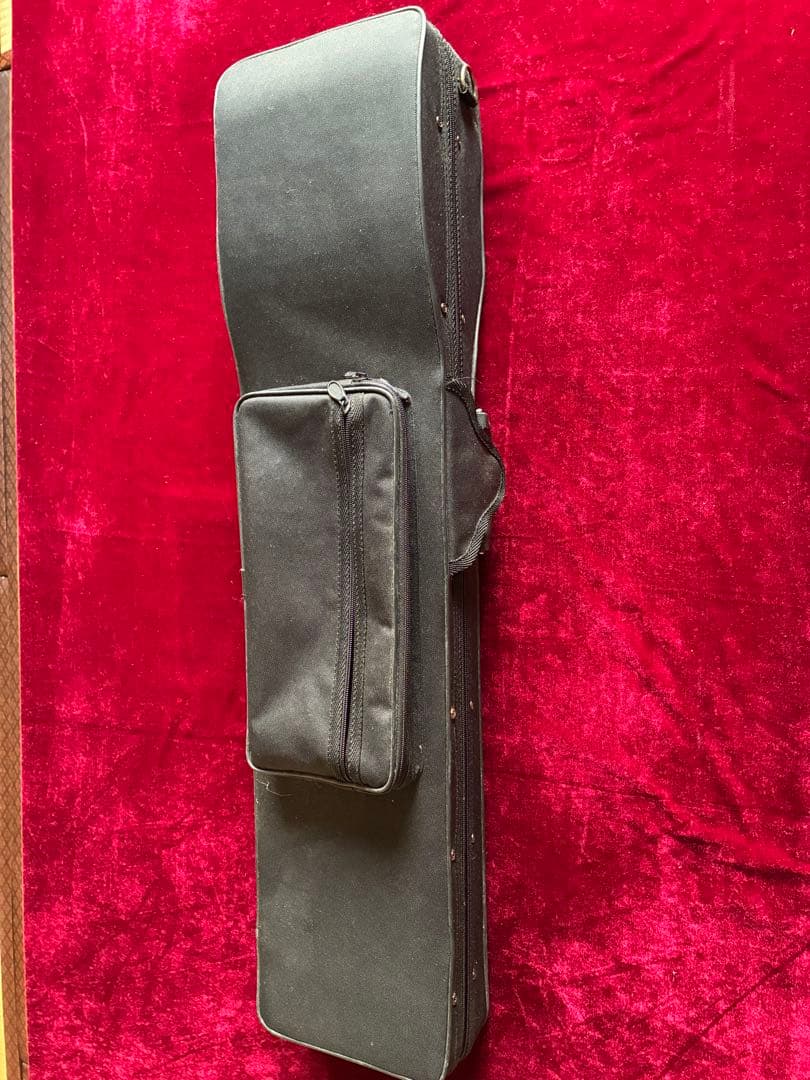 二胡★中古品★錦蛇本皮★完全手入れ★音など確認済み