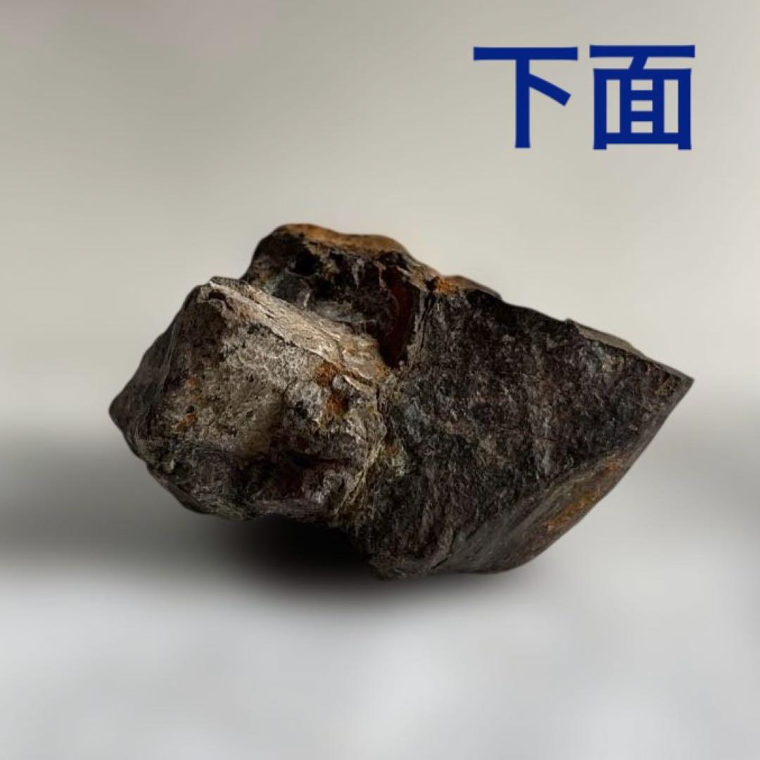 天然石　サバ菊石　約523g 鉱物　鑑賞石