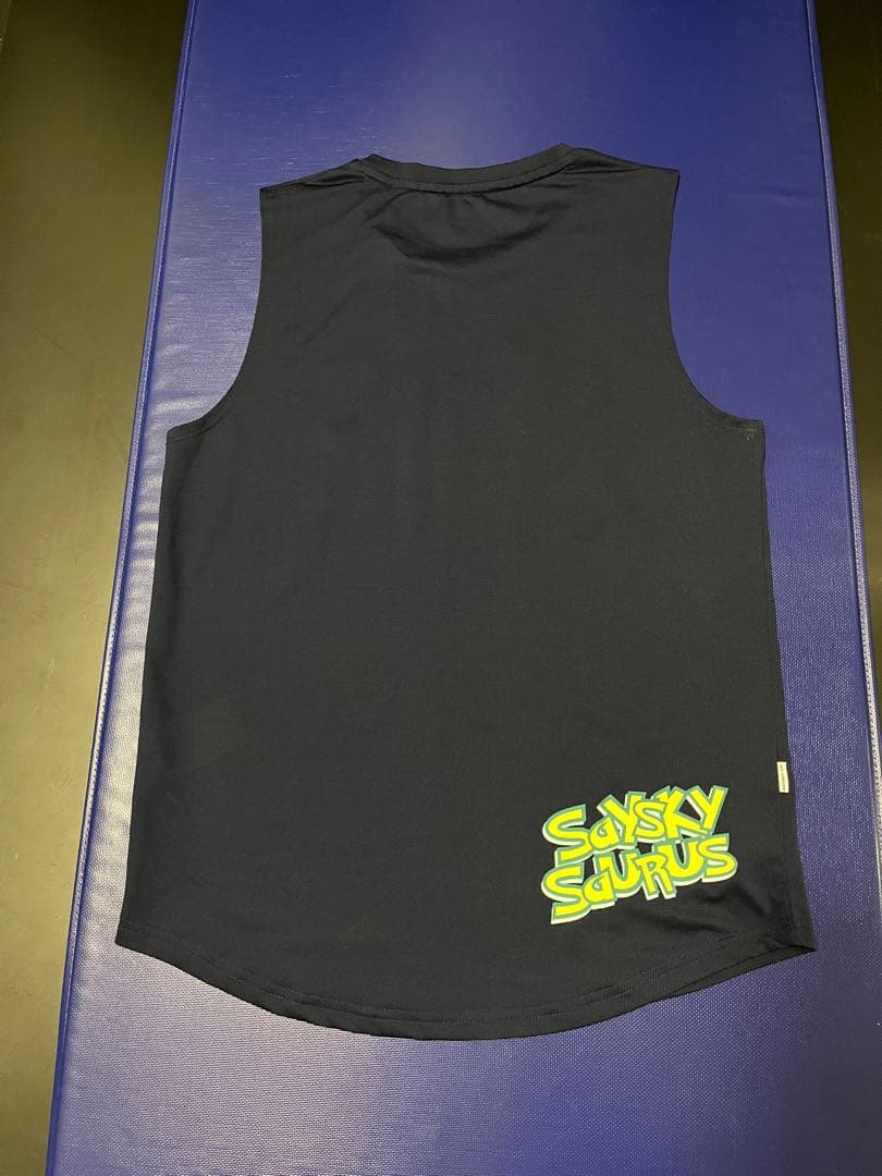 AMINOSAURUS &SAYSKYランニングウェア【中古美品】【サイズXS】