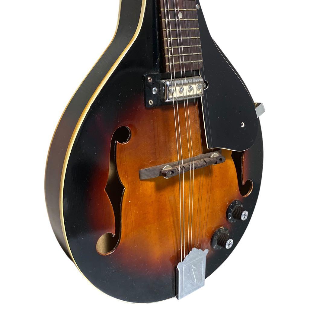 【希少品】IBANEZ エレキマンドリン　ハードケース付　マンドリン