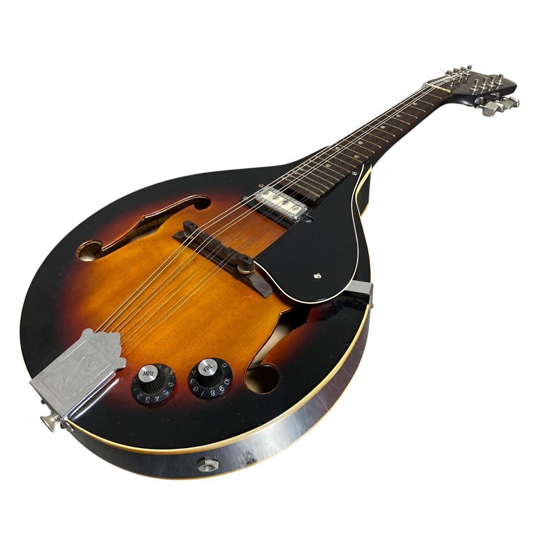 【希少品】IBANEZ エレキマンドリン　ハードケース付　マンドリン