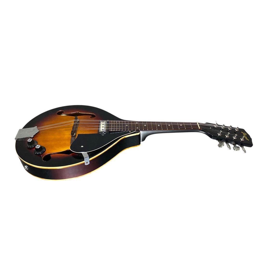 【希少品】IBANEZ エレキマンドリン　ハードケース付　マンドリン